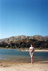 1997 - USA 019 (A côté de Malibu, CA - Pélicans)